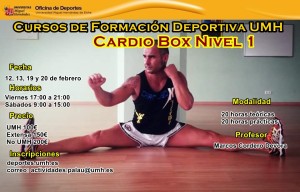 Curso Cardio Box Nivel 1